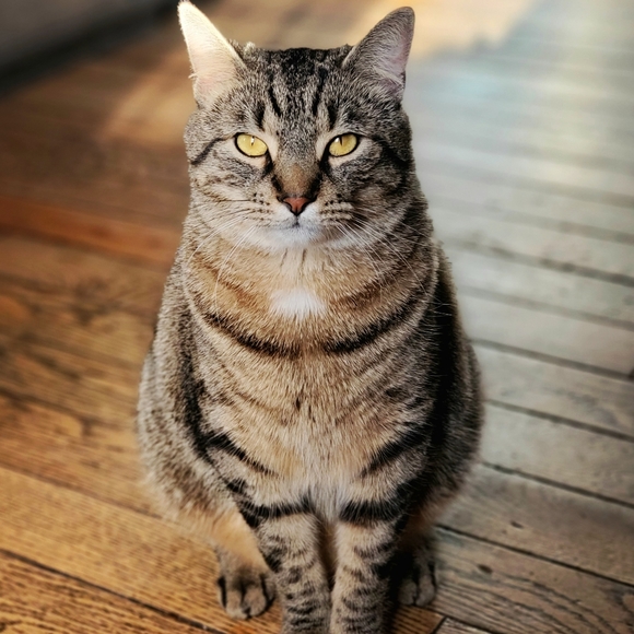 Meet your Posher, Glory - Picture 2 of 3